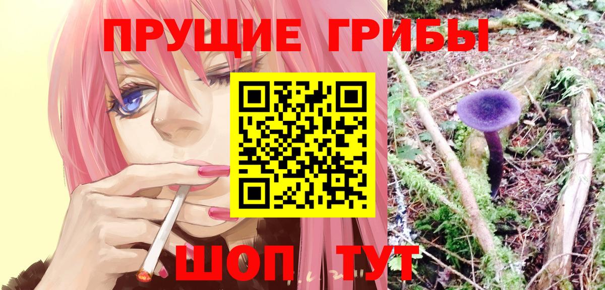 Галлюциногенные грибы Psilocybe  Вход с VPN  Крымск  Галлюциногенные грибы GOLDEN TEACHER 